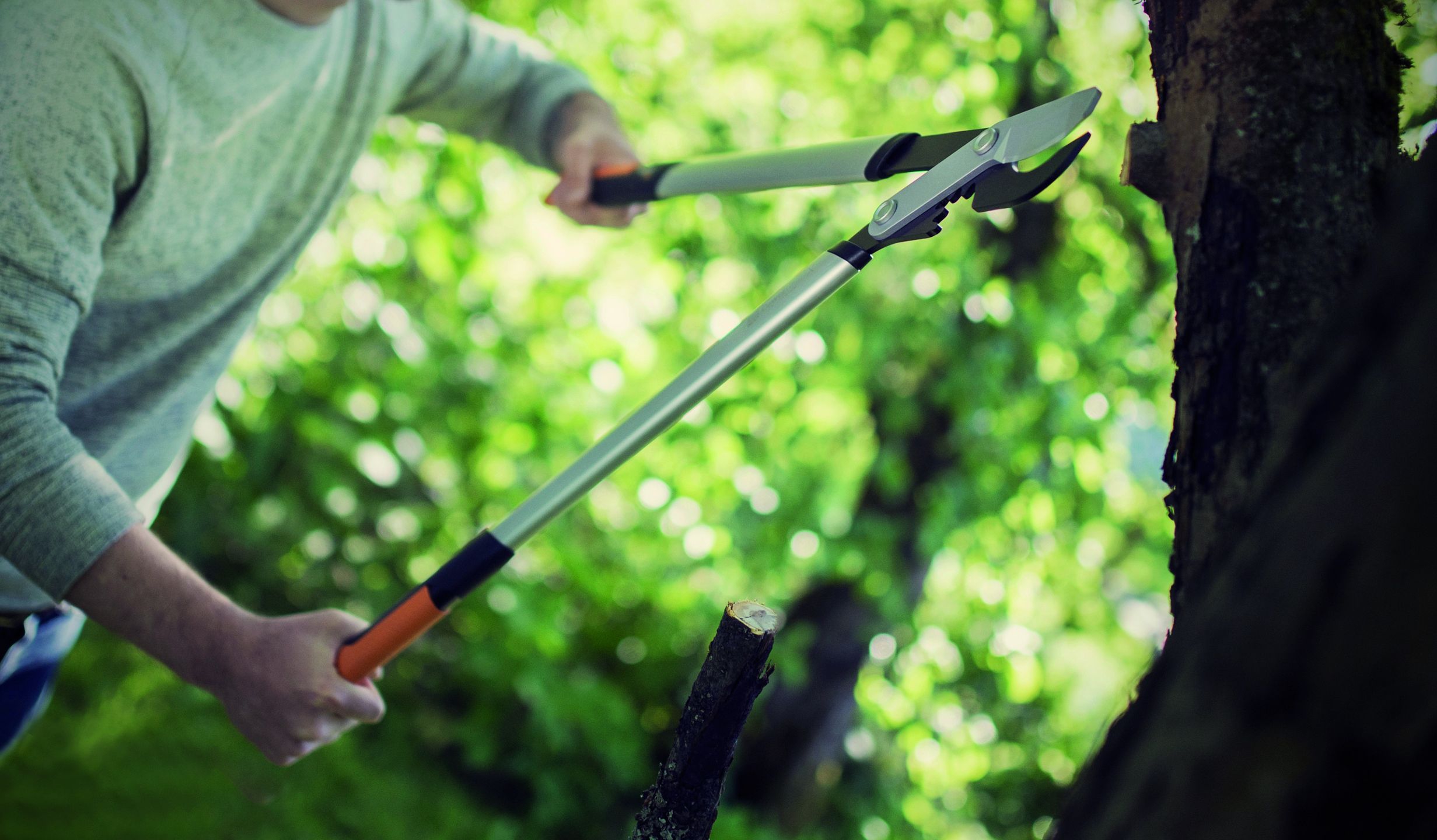 Fiskars