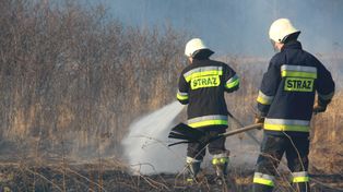 Wciąż podpalane trawy w powiecie malborskim. Apel strażaków