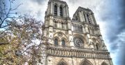 Archeolodzy pod katedrą Notre-Dame. Tego nie spodziewali się odkryć