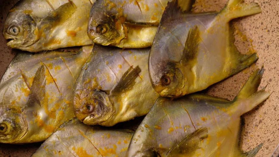 Odwiedzasz targ rybny? Tej ryby lepiej nie kupuj