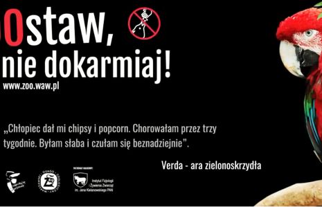 Allegro Brand Experience Agency dla warszawskiego ZOO