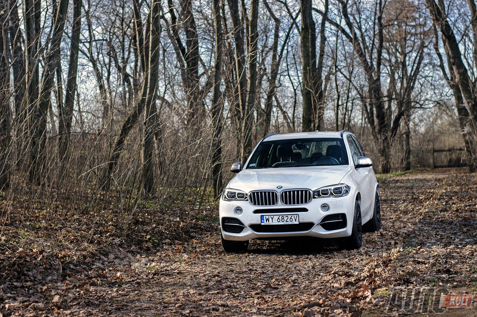 Nowe BMW X5 M50d - test [galeria] 6