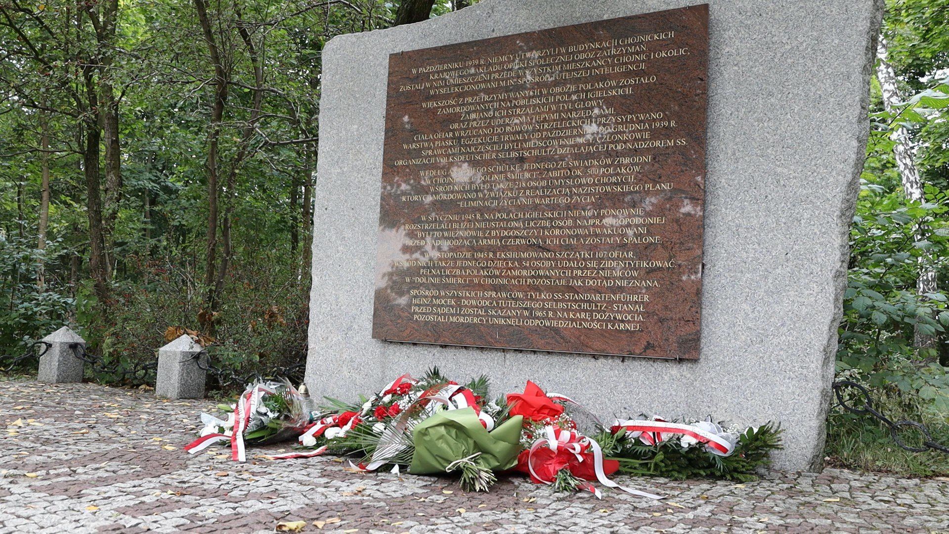 Wirtualna Polska