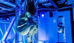 Koniec serialu "Altered Carbon"