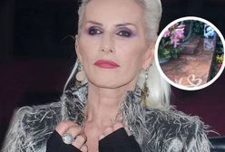 Tak dziś wygląda grób Kory. Artystka odeszła cztery lata temu
