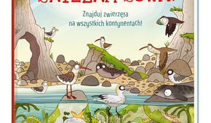 Gdzie się chowa śnieżna sowa? Znajduj zwierzęta na wszystkich kontynentach