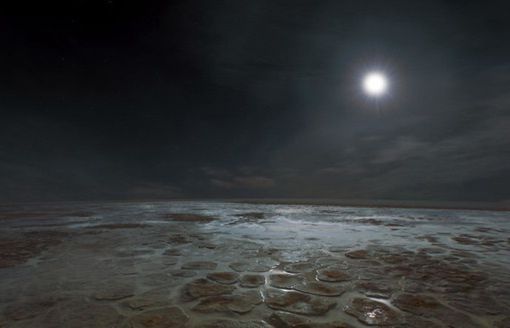 Brad Pitt i Cate Blanchett narratorami w "Voage of Time: Life's Journey"