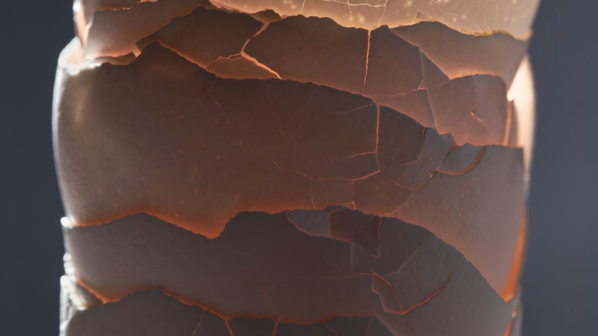 Skorupki jajek można wykorzystać na wiele sposobów