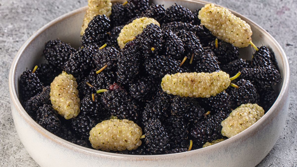 Morwa  - te owoce to skarb dla seniorów.