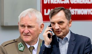 To był "przyczółek" ludzi Ziobry. Nieprawidłowości w Lasach Państwowych za rządów PiS