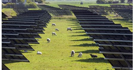 Polacy rzucili się na odnawialne źródła energii. Liczby nie kłamią
