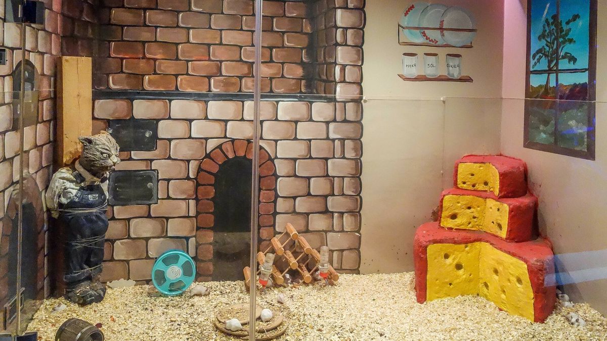 Myszogród w Zakopanem