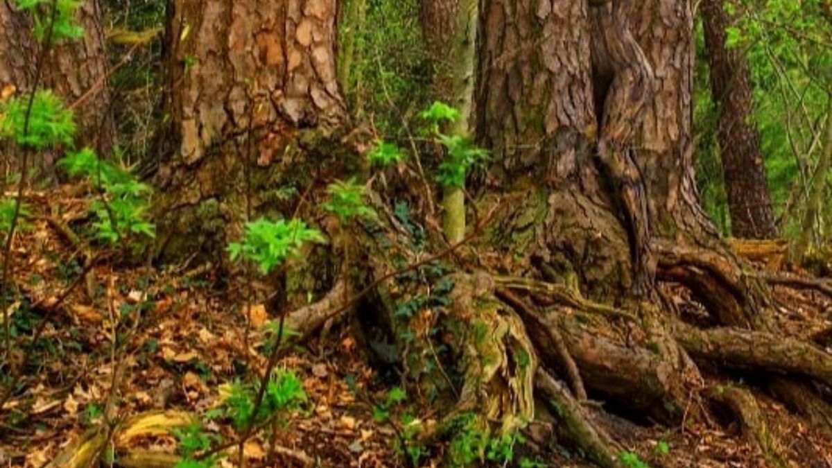 Kobieta niczym kameleon