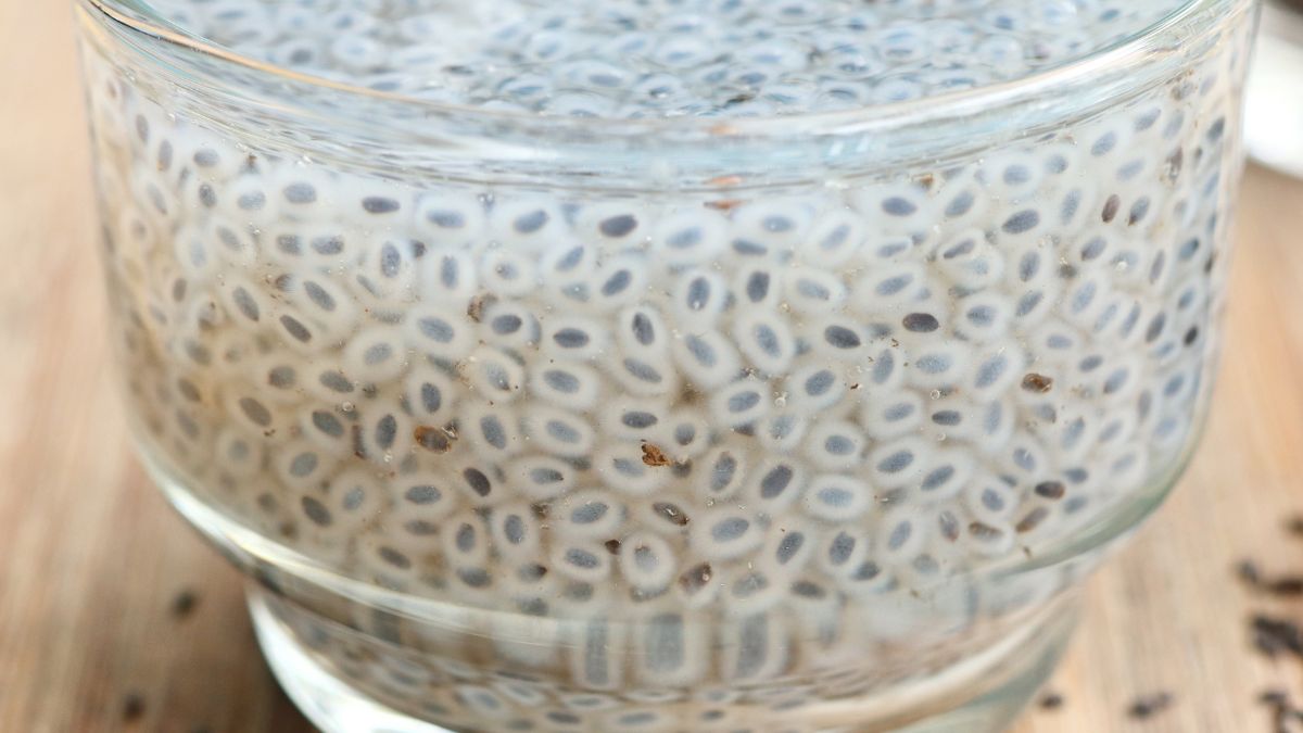 Nasiona słodkiej bazylii 