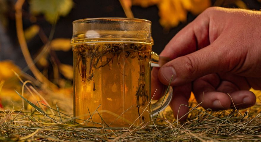 Z macierzanki można przygotowywać herbatkę ziołową, dodawać do kąpieli i stosować jako okład