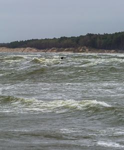 Szczęśliwy finał akcji w Zatoce Gdańskiej. Pływak odnaleziony