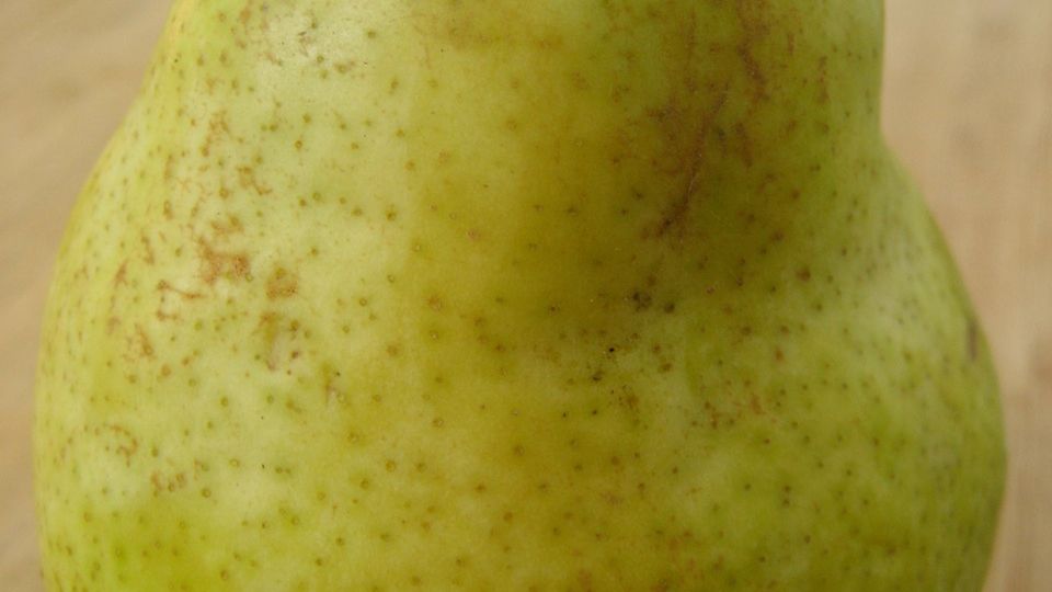 Surowa gruszka Bonkreta Williamsa