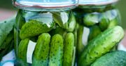 Dodaję kilka listków do małosolnych. Ogórki mają świetny smak i chrupią aż miło