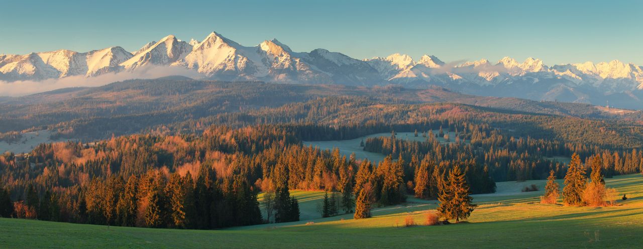 Tatry. Mimo pandemii oszuści nie śpią. Francuska willa udaje domy w Zakopanem i Kościelisku