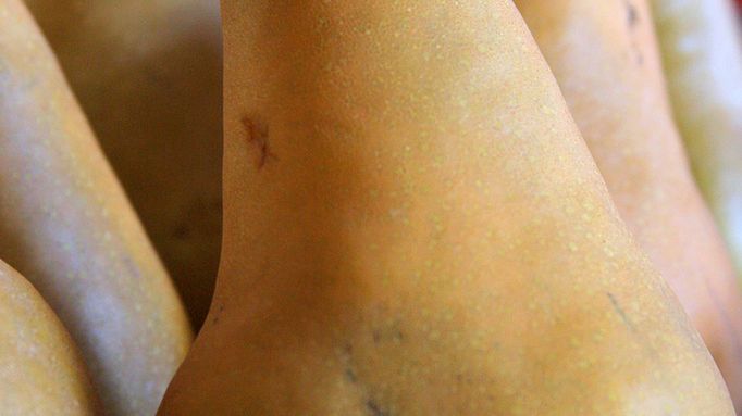 Surowa gruszka Bera Boska