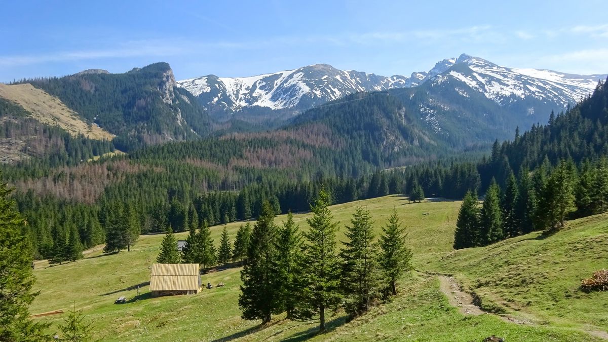 tatry
