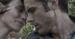 ''Ain't Them Bodies Saints'': Casey Affleck i Rooney Mara wyjęci spod prawa [wideo]