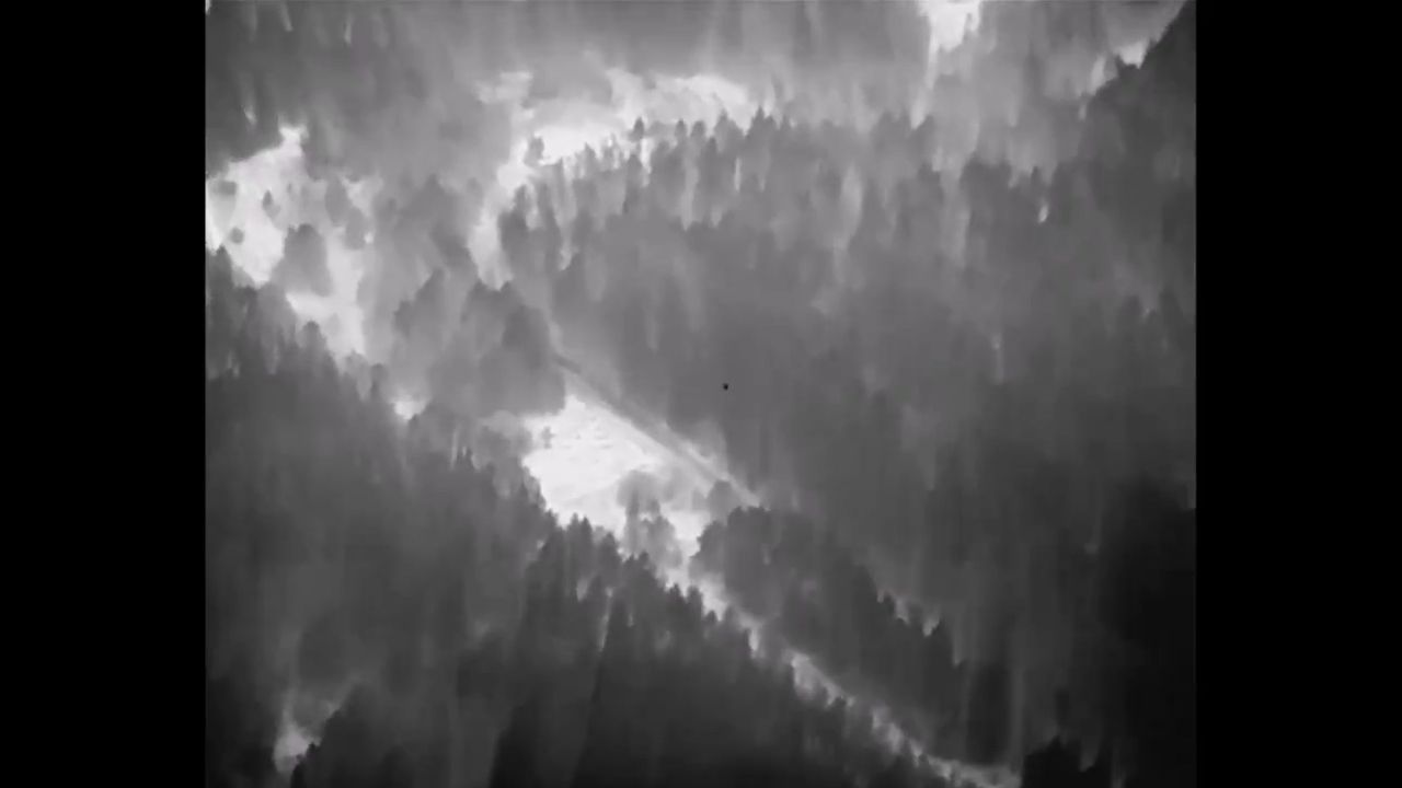 Nagranie z przelotu drona nad granicą polsko-białoruską