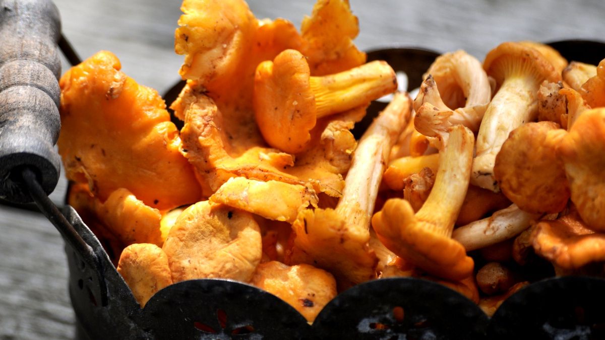 Jak oczyścić kurki?