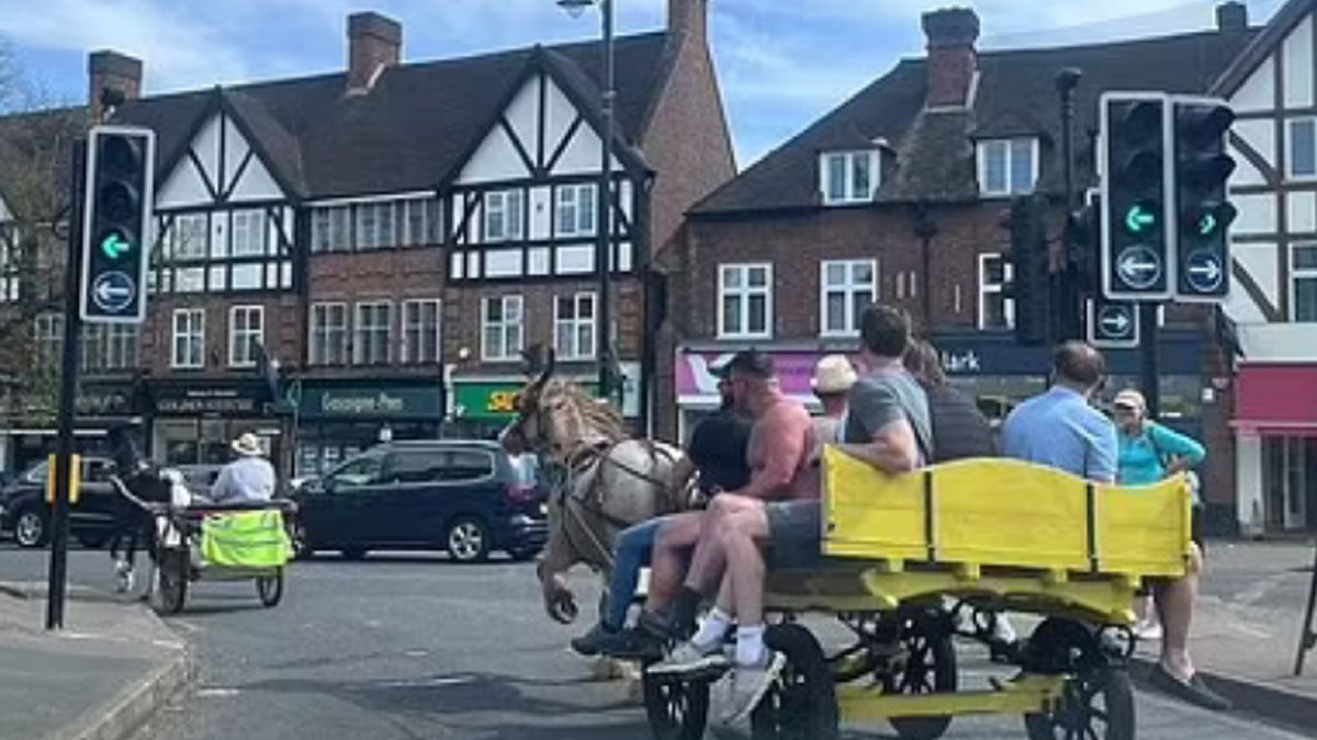 Ponad setka powozów z końmi dosłownie sparaliżowała Surrey