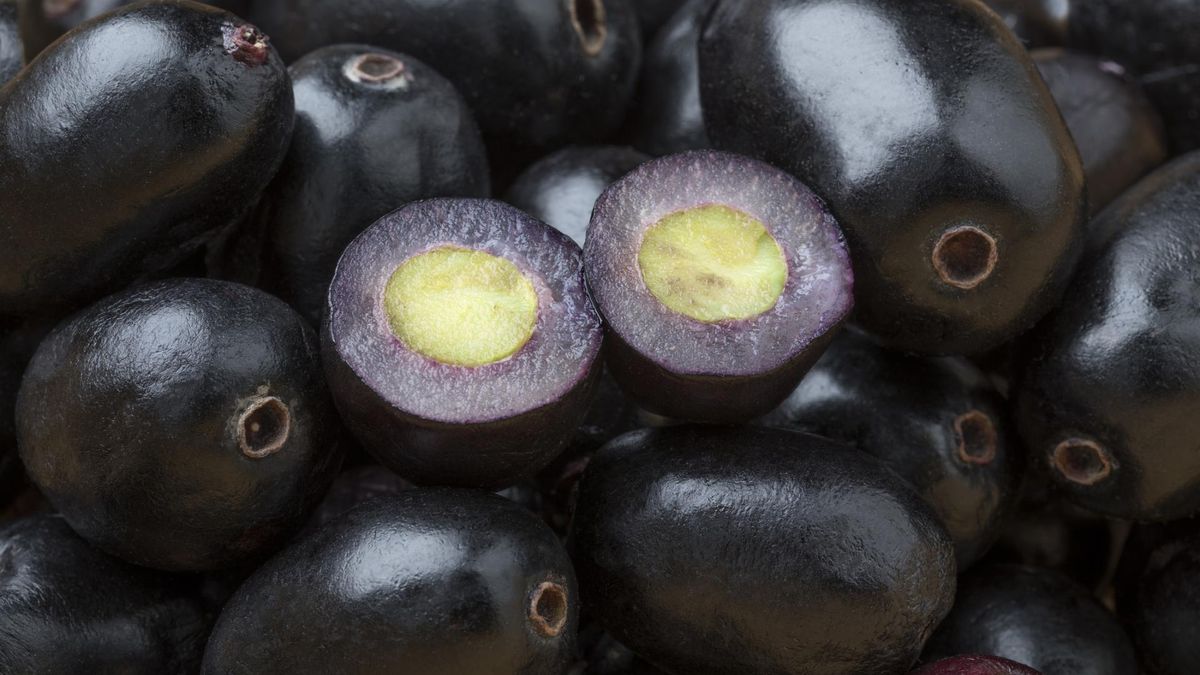 Jawajska śliwka wyreguluje cukier i obniży cholesterol. Do tego zawiera masę przeciwutleniaczy