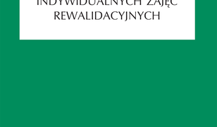 Dziennik indywidualnych zajęć rewalidacyjnych