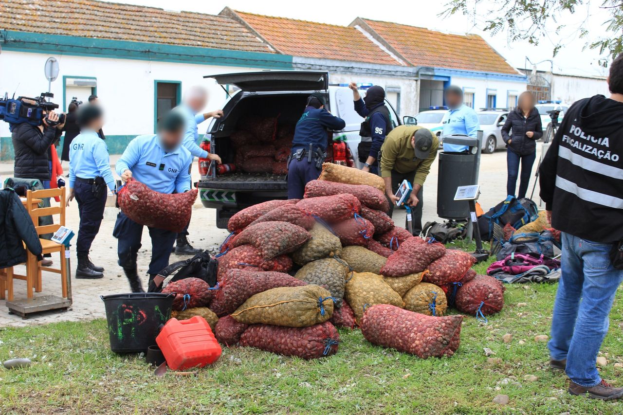Europol busts 62 in shellfish mafia crackdown across Europe
