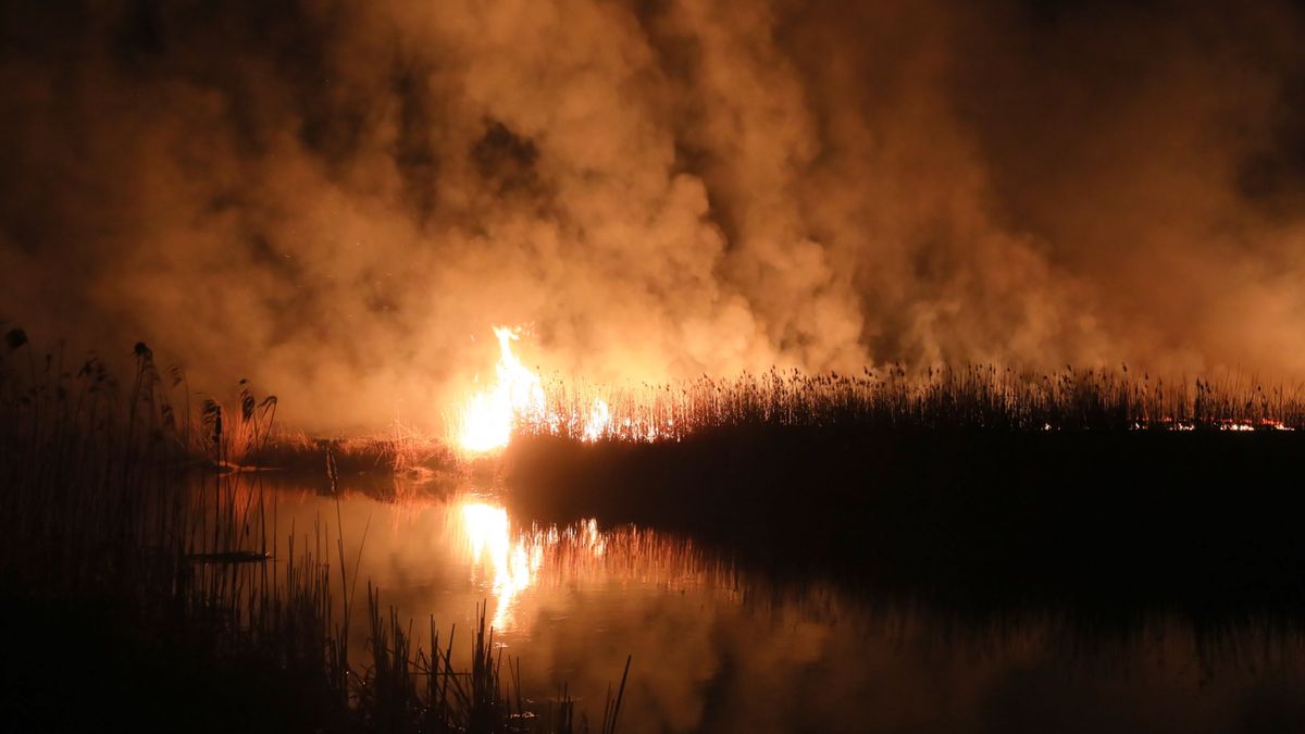 Zdjęcie okładkowe artykułu: PAP /  / Na zdjęciu: pożar Biebrzańskiego Parku Narodowego