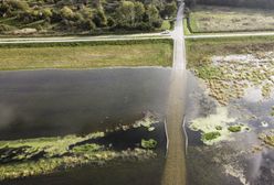 Wrocław. Ul. Opatowicka zamknięta. Wszystko przez wysoki poziom rzek