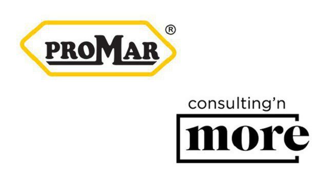 Consulting'n more dla firmy Promar
