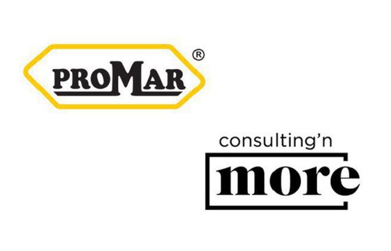 Consulting'n more dla firmy Promar