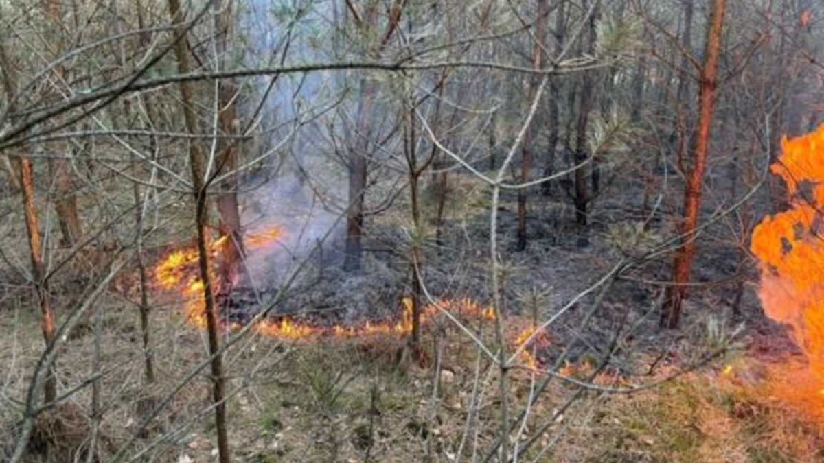 Nadleśnictwo szuka sprawcy pożarów [zdj. ilustracyjne]