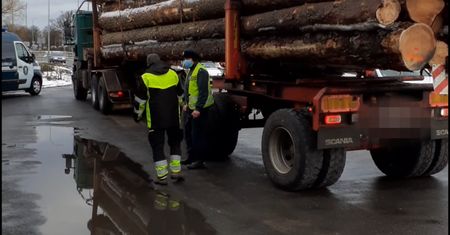 Jechali ciężarówkami z drewnem po Koszalinie. W każdej chwili mogło dojść do tragedii