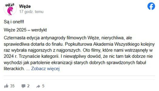 Opis nagród Węże 2025.