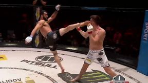 MMA. KSW 55: taki nokaut zdarza się raz na sto lat! Zobacz Mameda Chalidowa w akcji
