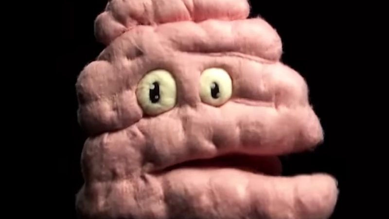 Wątroba, serce, płuca i jelita skarżą się na złe traktowanie. Ruszyła nowa kampania społeczna Ministerstwa Zdrowia