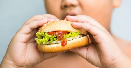 Fast foody - czy jest na nie miejsce w diecie dziecka?