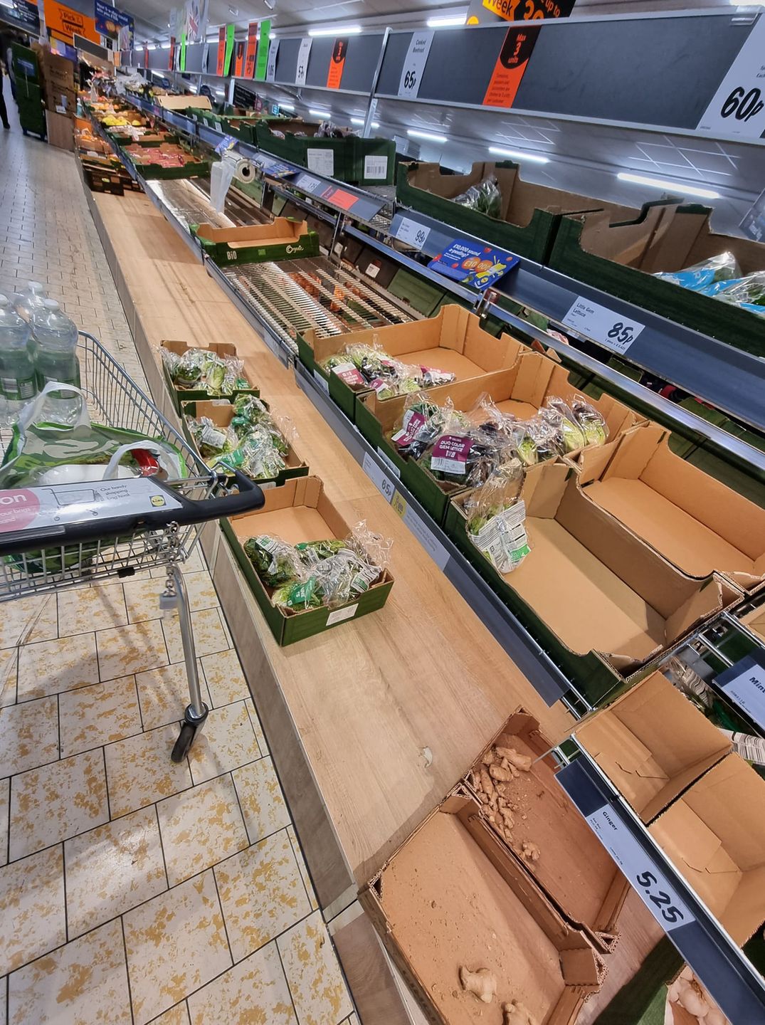 Środek tygodnia. Lidl w Wielkiej Brytanii. Zdjęcie wysłała nam Polka mieszkająca na Wyspach. 