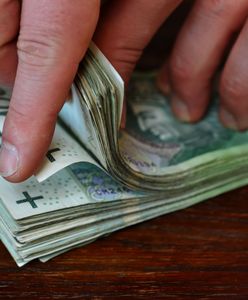 Nawet 150 tys. zł na inwestycje w gospodarstwie. Oto na co rolnicy mogą dostać pieniądze