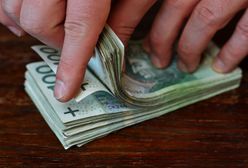 Nawet 150 tys. zł na inwestycje w gospodarstwie. Oto na co rolnicy mogą dostać pieniądze