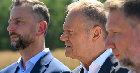 Wojsko zdało egzamin, państwo nie. Mocne słowa ekspertów
