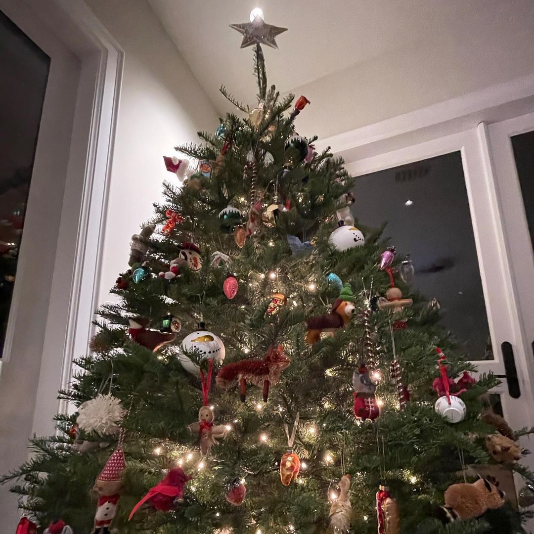 Justin Bieber i Hailey ubrali choinkę