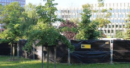 Zamknęli skatepark na lato – ZZM tłumaczy się z decyzji, która oburzyła mieszkańców