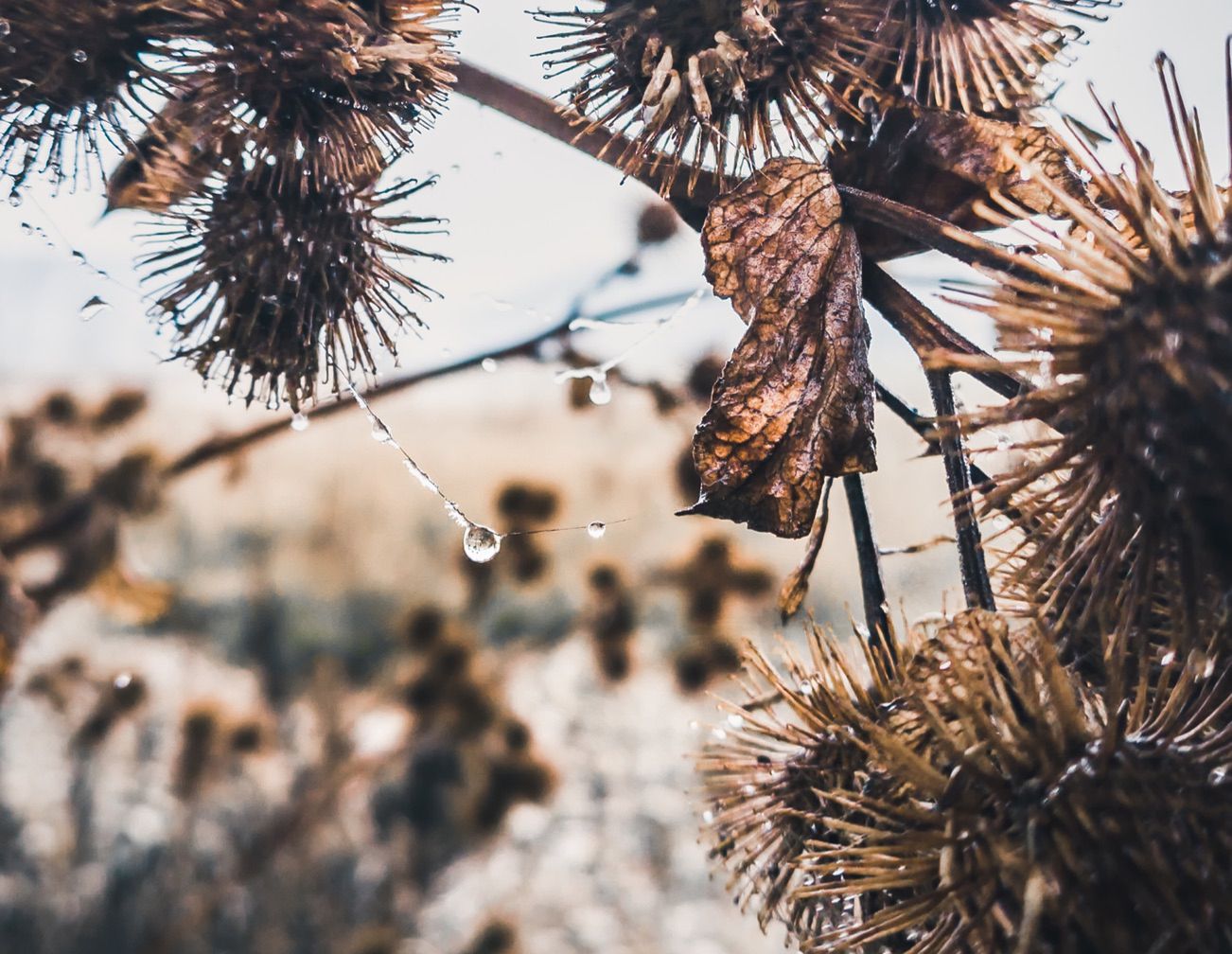 Nokia 9 PureView oficjalnie. Pierwszy smartfon z pięcioma obiektywami ZEISS-a 8