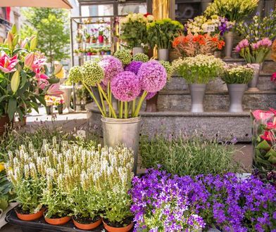 Dzień Kobiet 2021. Jakie kwiaty wybrać?